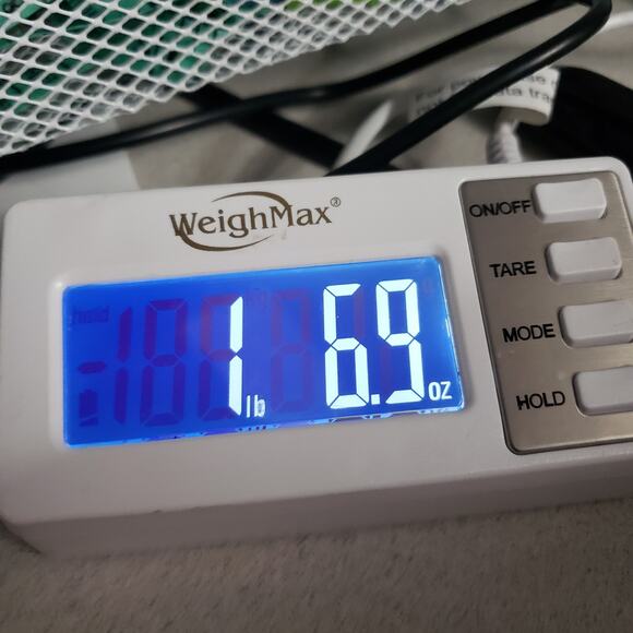 Vintage Small Nativity Set Unpainted Bisque Ceramic Children's Christmas 8PC - Picture 14 of 14